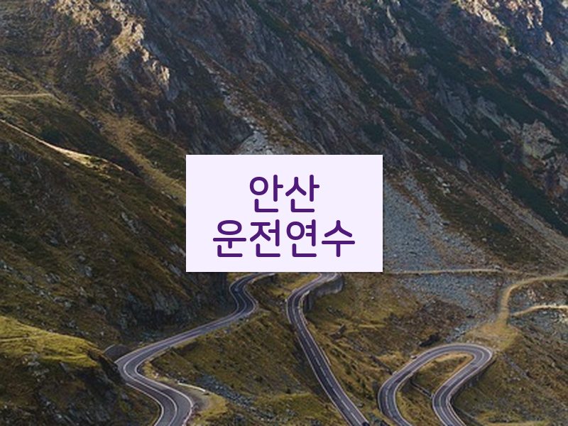 안산운전연수 후기