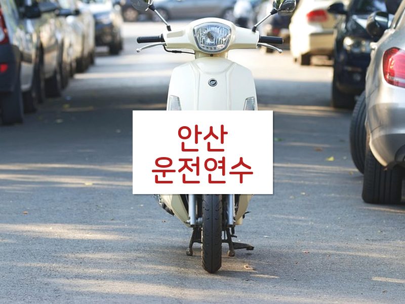 안산운전연수 후기