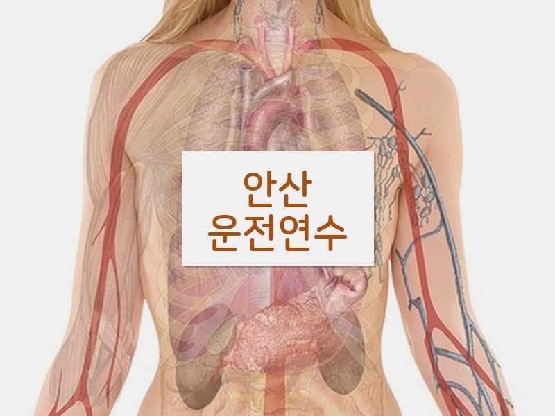 안산운전연수 후기