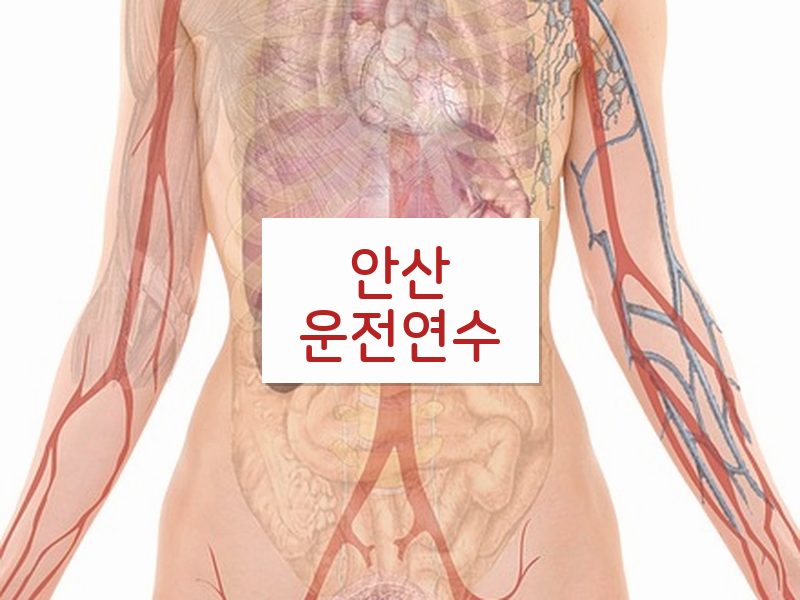 안산운전연수 후기