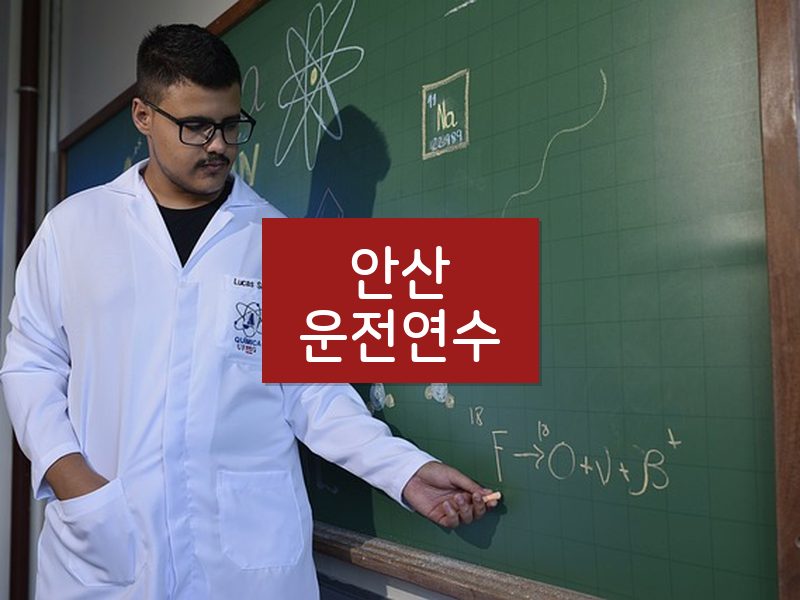 안산운전연수 후기