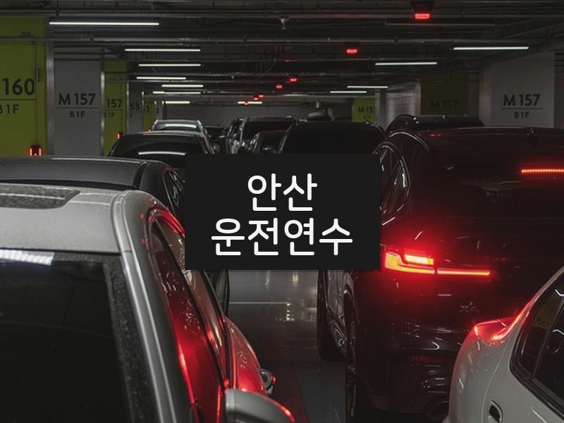 안산운전연수 후기