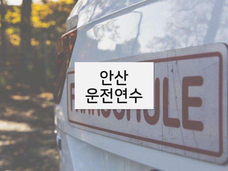 안산운전연수 후기