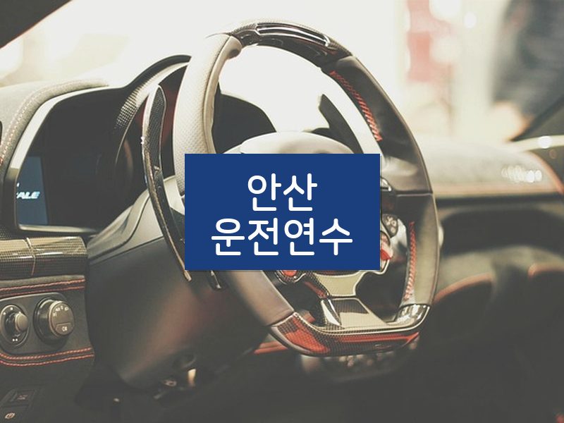 안산운전연수 후기
