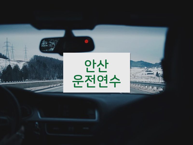안산운전연수 후기