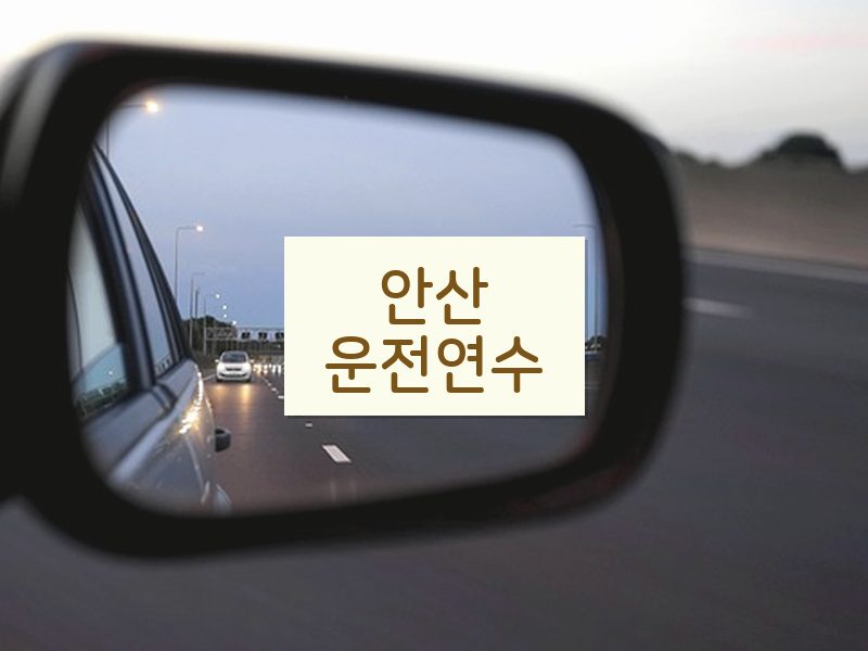 안산운전연수 후기