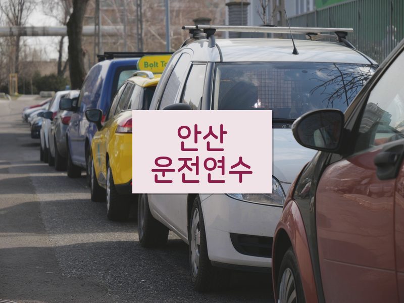 안산운전연수 후기