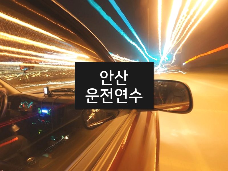 안산운전연수 후기