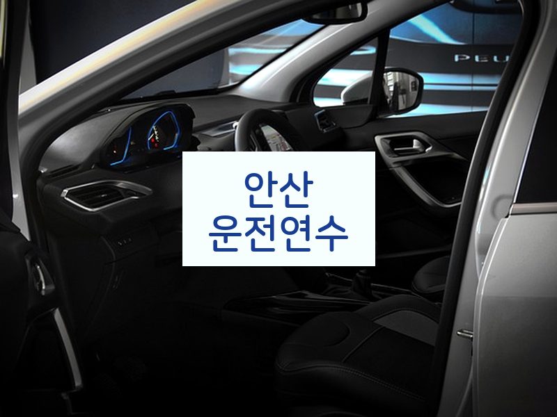 안산운전연수 후기