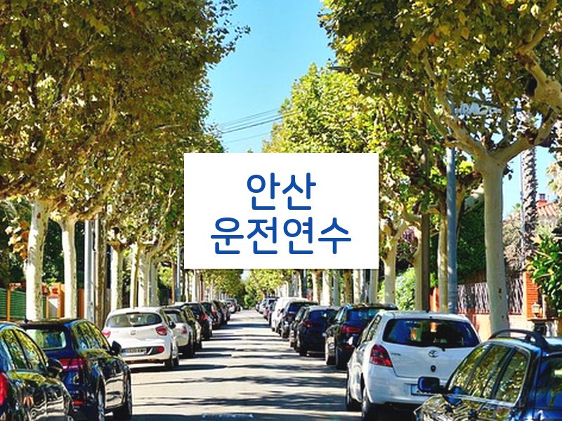 안산운전연수 후기
