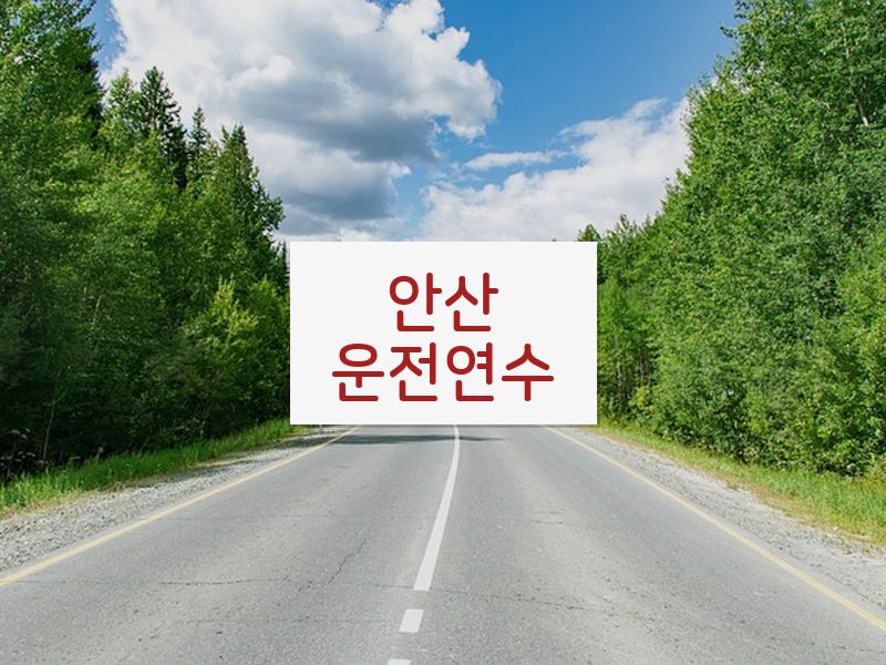 안산운전연수 후기