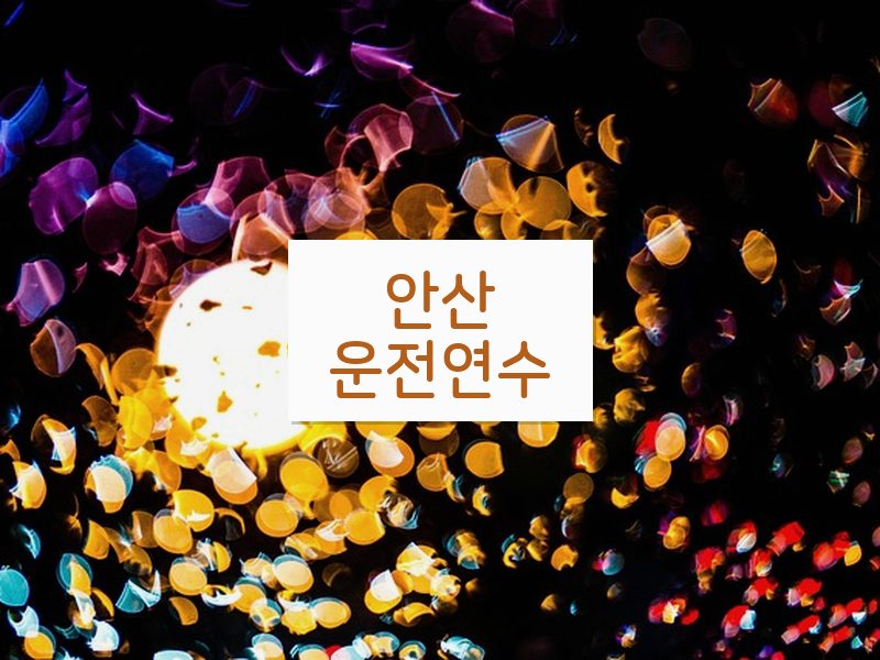 안산운전연수 후기