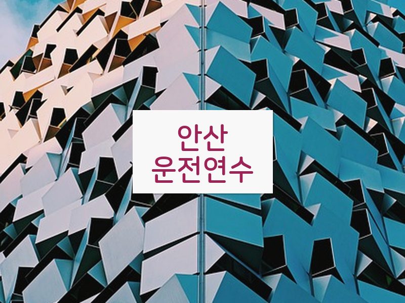 안산운전연수 후기