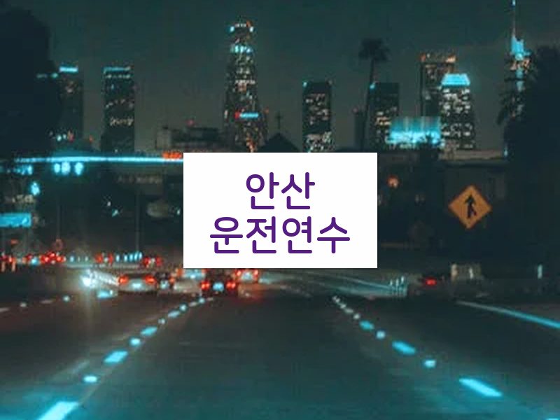 안산운전연수 후기