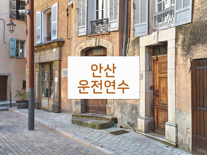 안산운전연수 후기