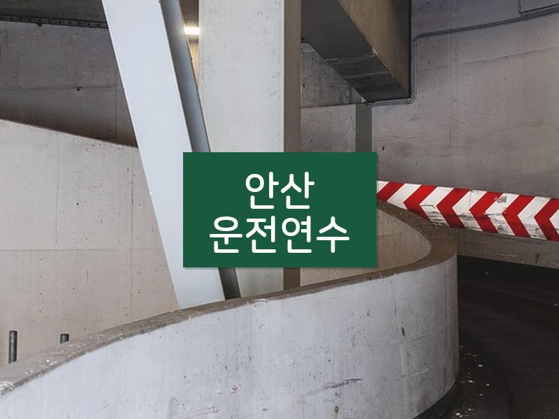 안산운전연수 후기
