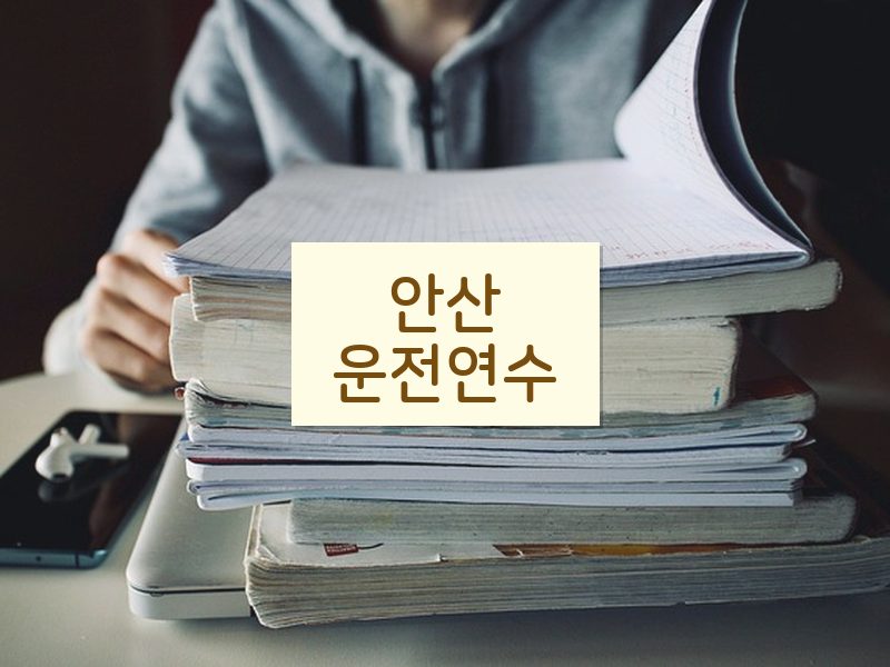 안산운전연수 후기