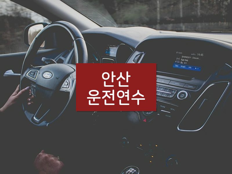 안산운전연수 후기