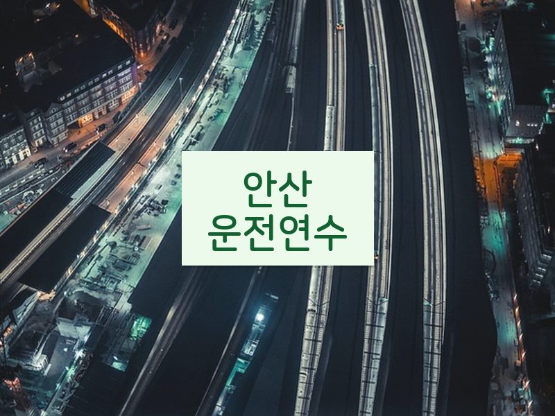 안산운전연수 후기