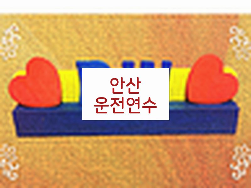 안산운전연수 후기