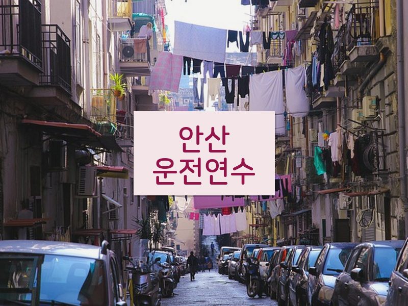 안산운전연수 후기