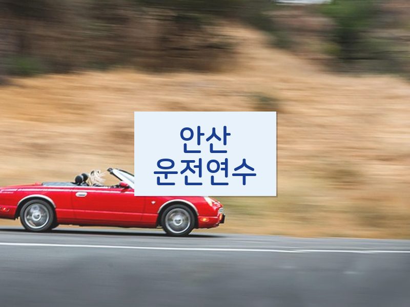 안산운전연수 후기