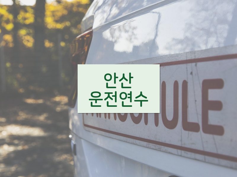안산운전연수 후기