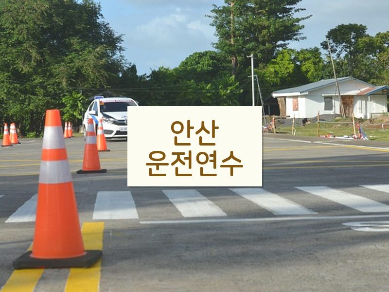 안산운전연수 후기