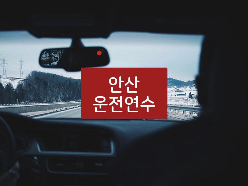 안산운전연수 후기