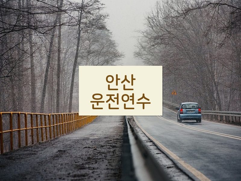 안산운전연수 후기