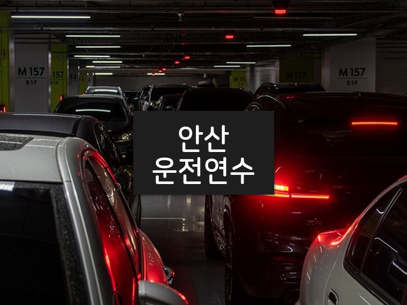 안산운전연수 후기