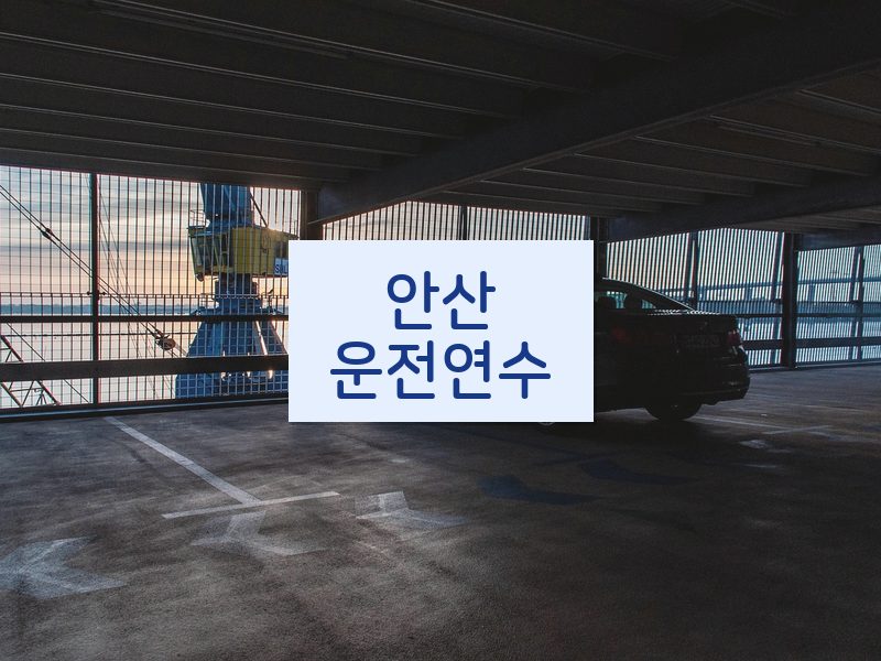 안산운전연수 후기