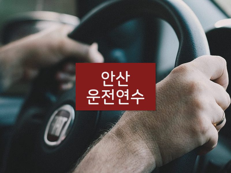 안산운전연수 후기