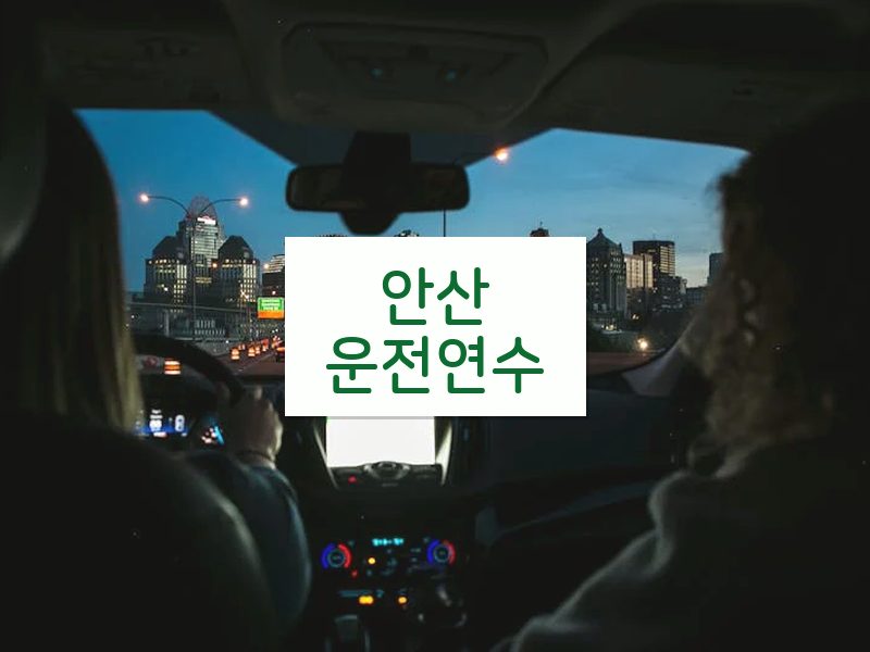 안산운전연수 후기