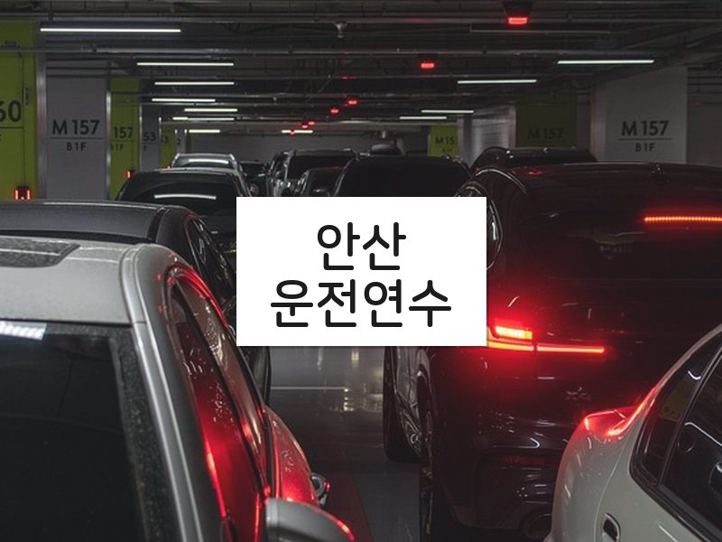 안산운전연수 후기
