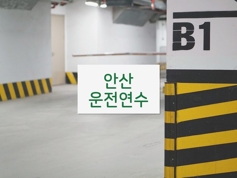 안산운전연수 후기
