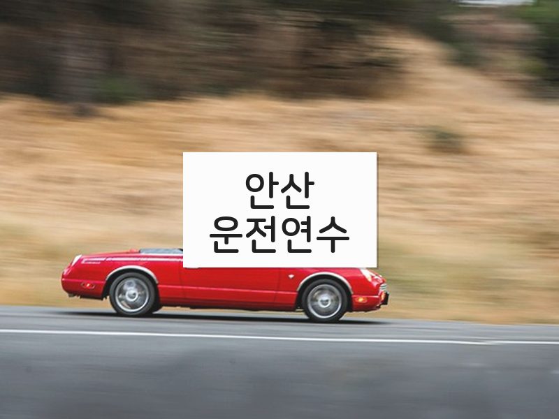 안산운전연수 후기