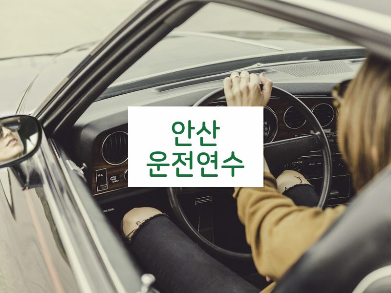 안산운전연수 후기