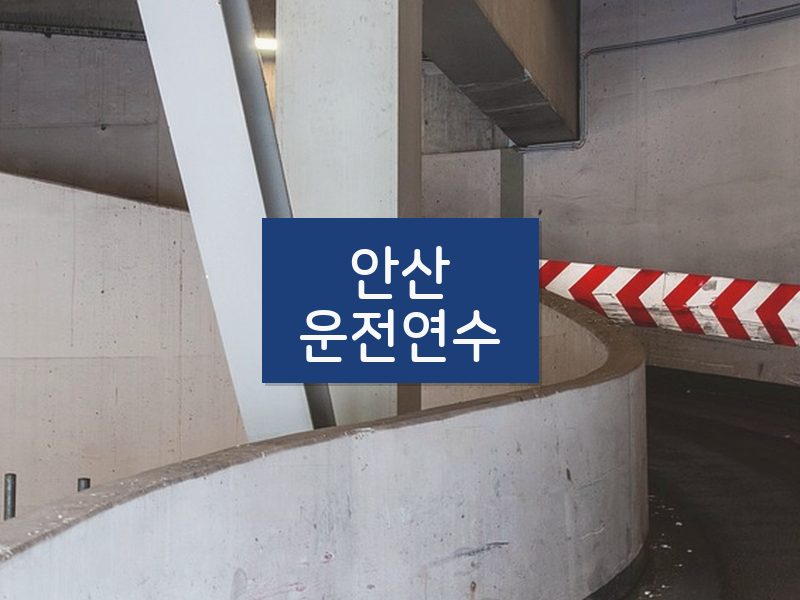 안산운전연수 후기