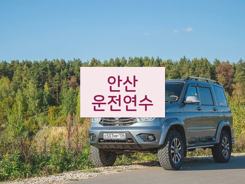 안산운전연수 후기