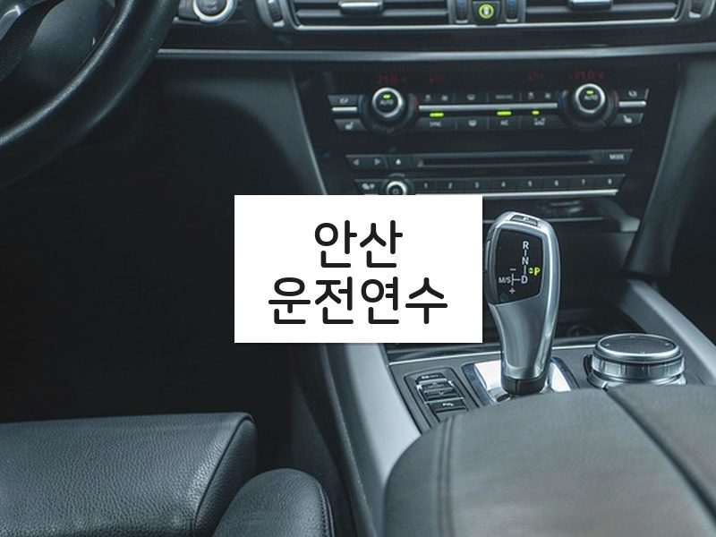 안산운전연수 후기