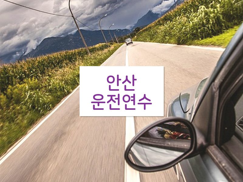 안산운전연수 후기