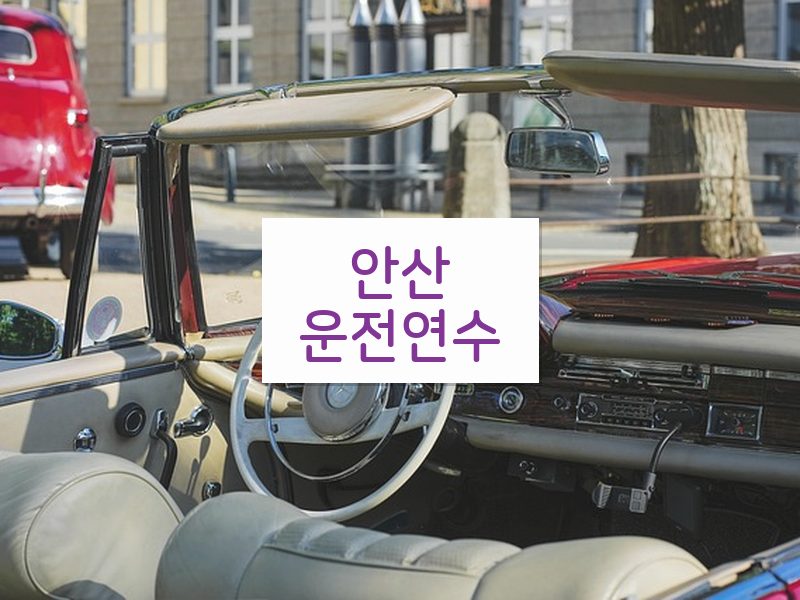 안산운전연수 후기