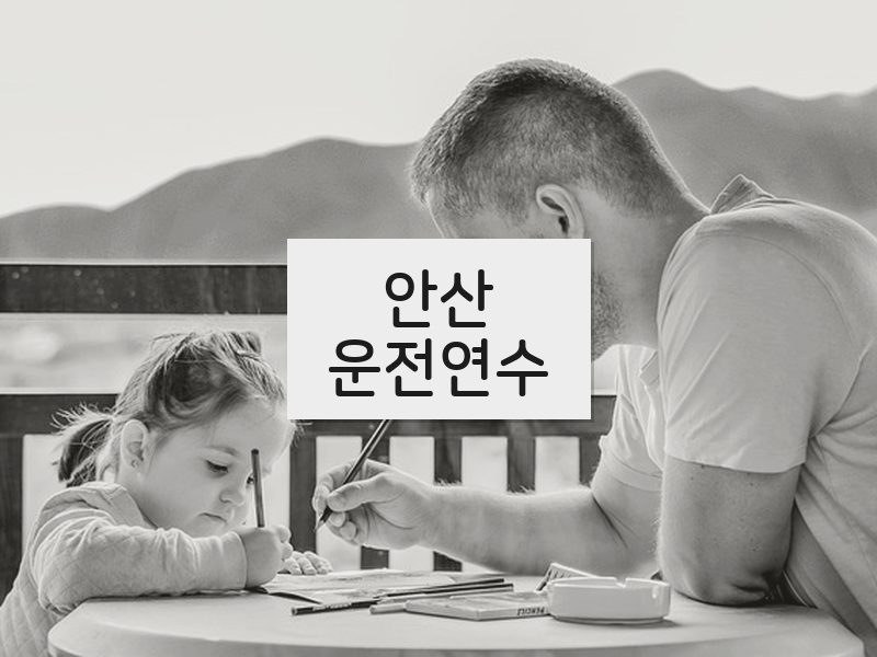 안산운전연수 후기