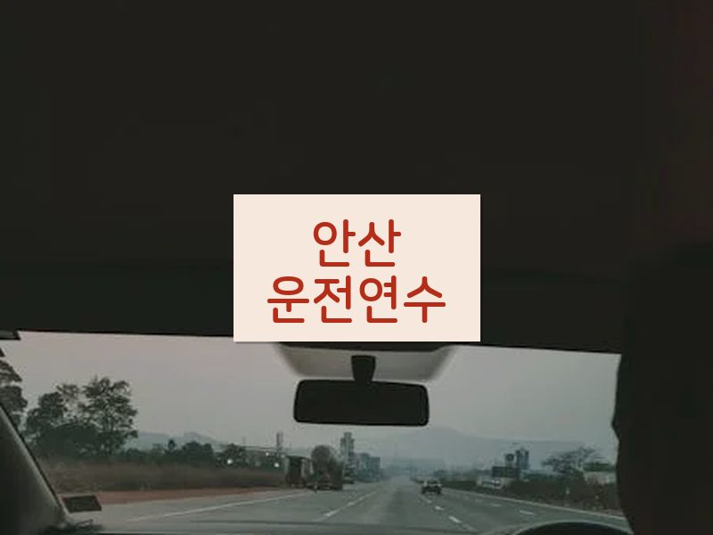안산운전연수 후기