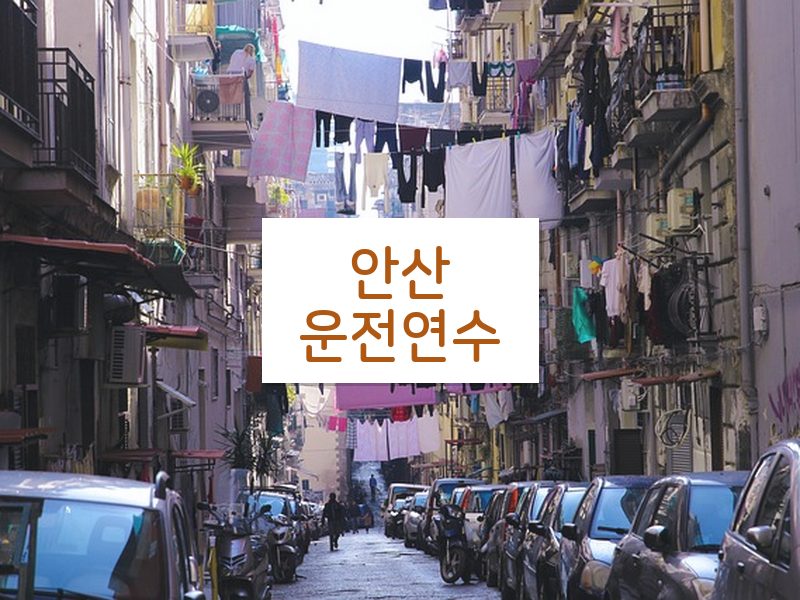 안산운전연수 후기