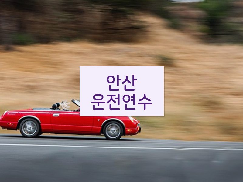 안산운전연수 후기