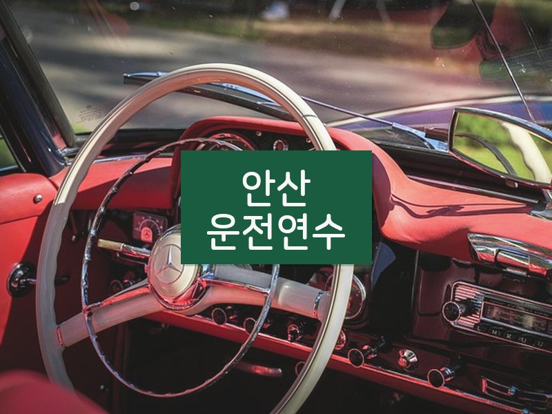 안산운전연수 후기