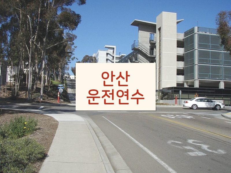 안산운전연수 후기