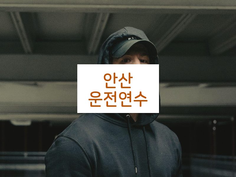 안산운전연수 후기